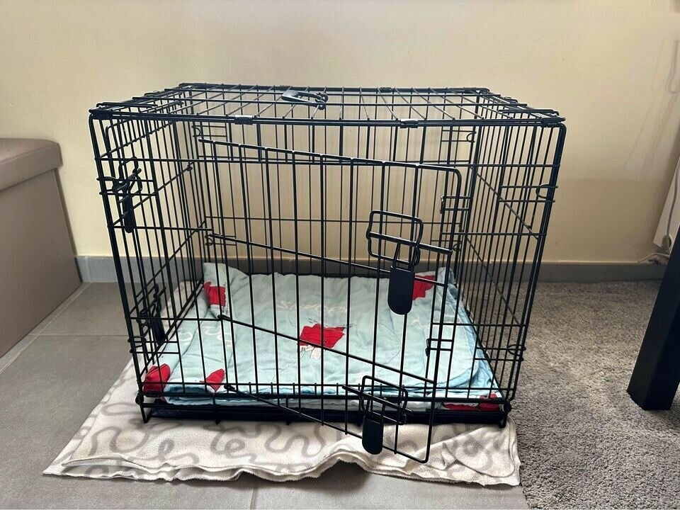cage-big-0