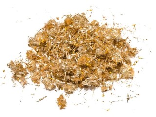 Arnica bloem